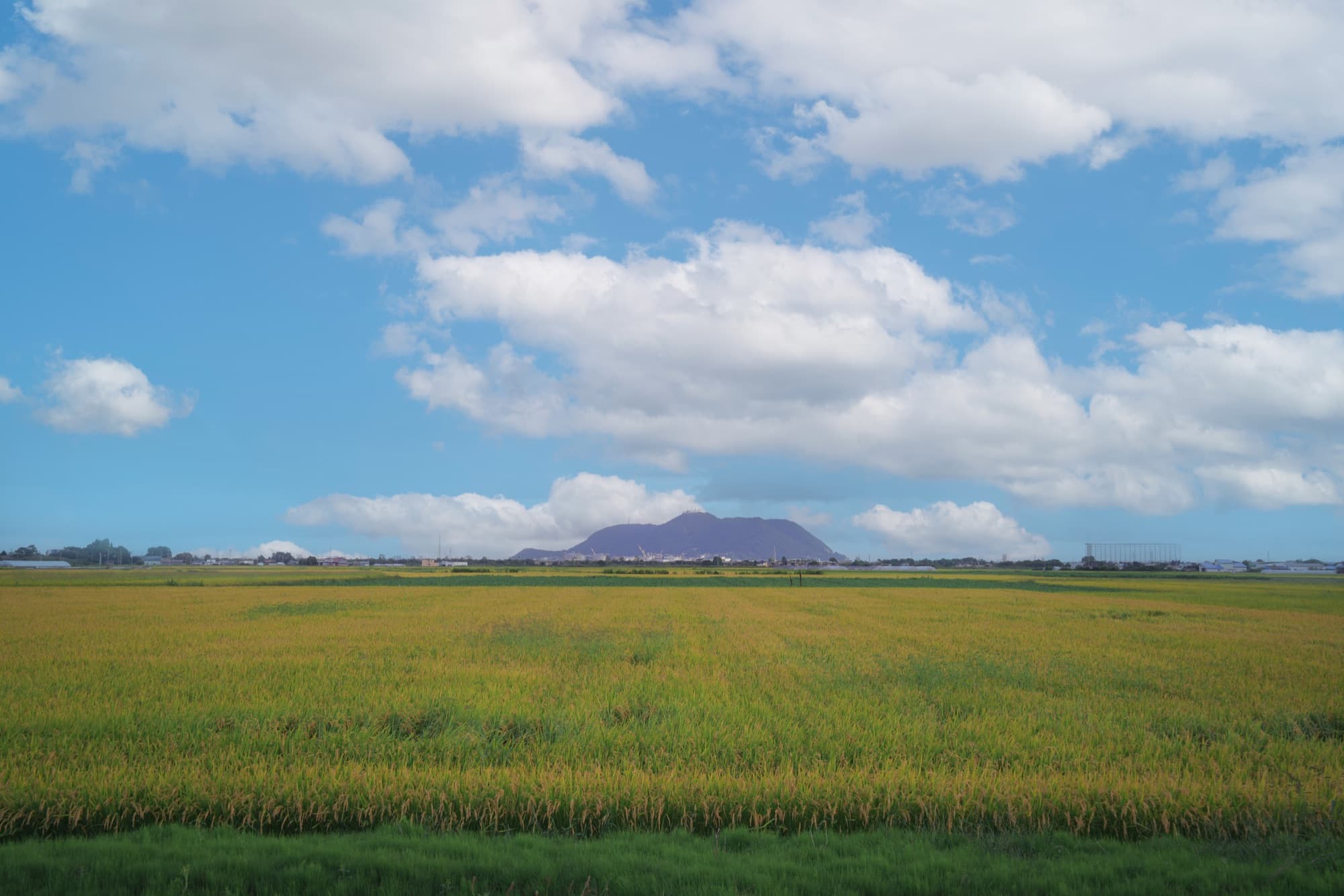 白石農園から見える北斗市の田園風景